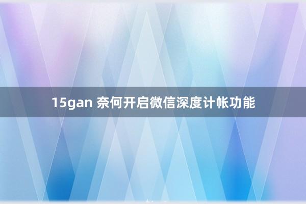 15gan 奈何开启微信深度计帐功能