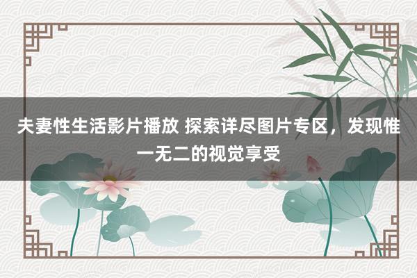 夫妻性生活影片播放 探索详尽图片专区，发现惟一无二的视觉享受