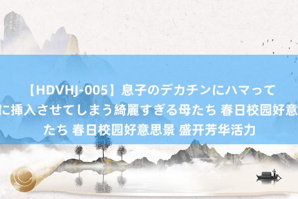 【HDVHJ-005】息子のデカチンにハマってしまい毎日のように挿入させてしまう綺麗すぎる母たち 春日校园好意思景 盛开芳华活力