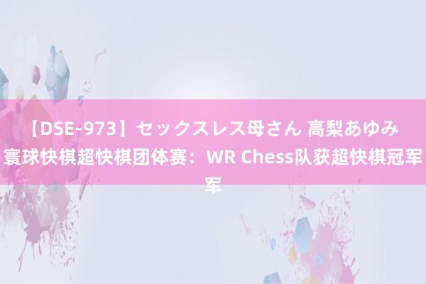 【DSE-973】セックスレス母さん 高梨あゆみ 寰球快棋超快棋团体赛：WR Chess队获超快棋冠军