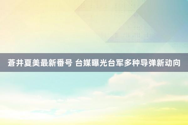 蒼井夏美最新番号 台媒曝光台军多种导弹新动向