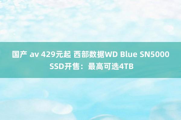 国产 av 429元起 西部数据WD Blue SN5000 SSD开售：最高可选4TB