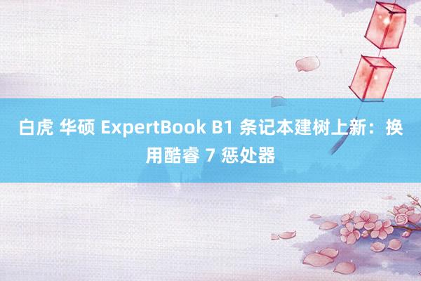 白虎 华硕 ExpertBook B1 条记本建树上新：换用酷睿 7 惩处器