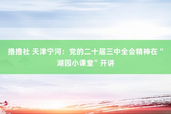 撸撸社 天津宁河：党的二十届三中全会精神在“湖园小课堂”开讲