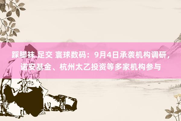 踩脚袜 足交 寰球数码：9月4日承袭机构调研，诺安基金、杭州太乙投资等多家机构参与