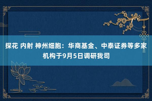 探花 内射 神州细胞：华商基金、中泰证券等多家机构于9月5日调研我司