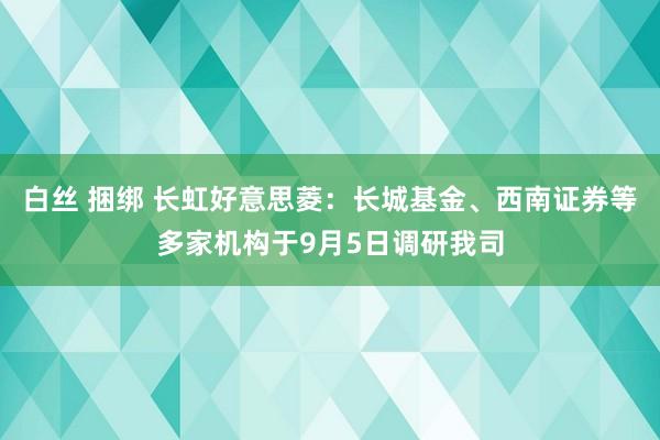 白丝 捆绑 长虹好意思菱：长城基金、西南证券等多家机构于9月5日调研我司