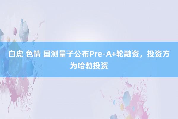 白虎 色情 国测量子公布Pre-A+轮融资，投资方为哈勃投资