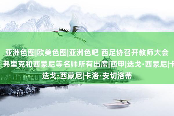 亚洲色图|欧美色图|亚洲色吧 西足协召开教师大会，安切洛蒂、弗里克和西蒙尼等名帅所有出席|西甲|迭戈·西蒙尼|卡洛·安切洛蒂