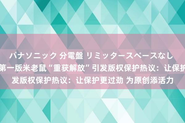 パナソニック 分電盤 リミッタースペースなし 露出・半埋込両用形 第一版米老鼠“重获解放”引发版权保护热议：让保护更过劲 为原创添活力