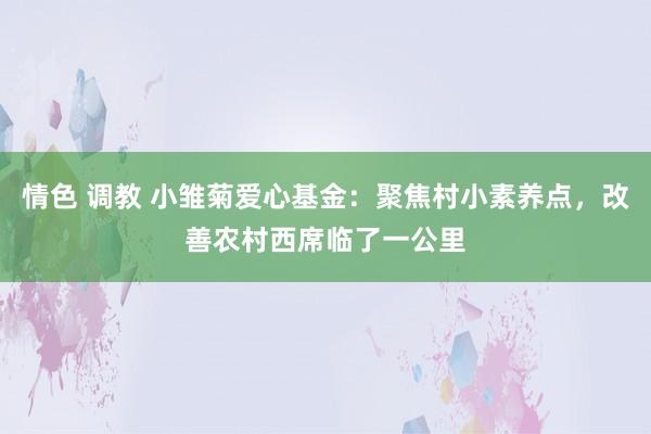 情色 调教 小雏菊爱心基金：聚焦村小素养点，改善农村西席临了一公里